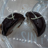 Semiesférico de semifríos individual de 3 chocolates