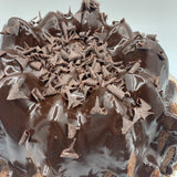 Pastel Bundt cake de Baileys de chocolate